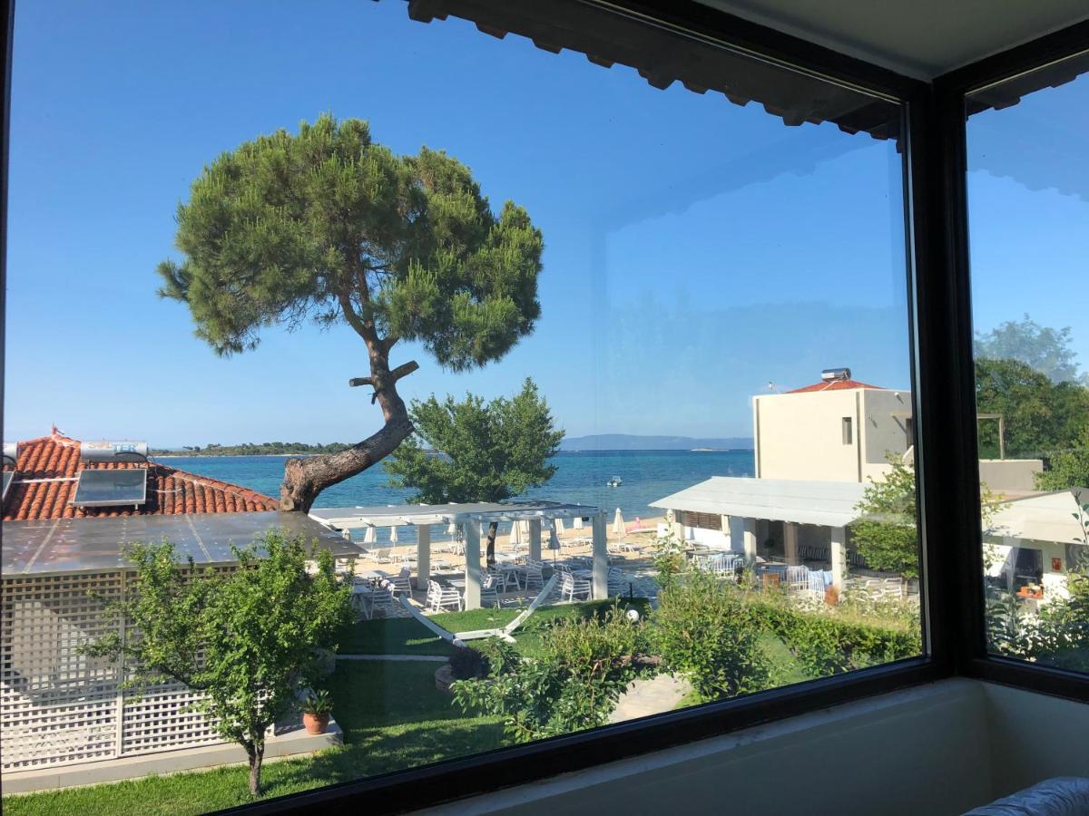 Zinozis Beach Apartments Vourvourou Eksteriør billede